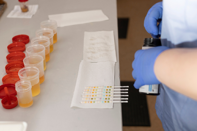 Especialista visualizando los resultandos de las pruebas antidoping de una empresa. 