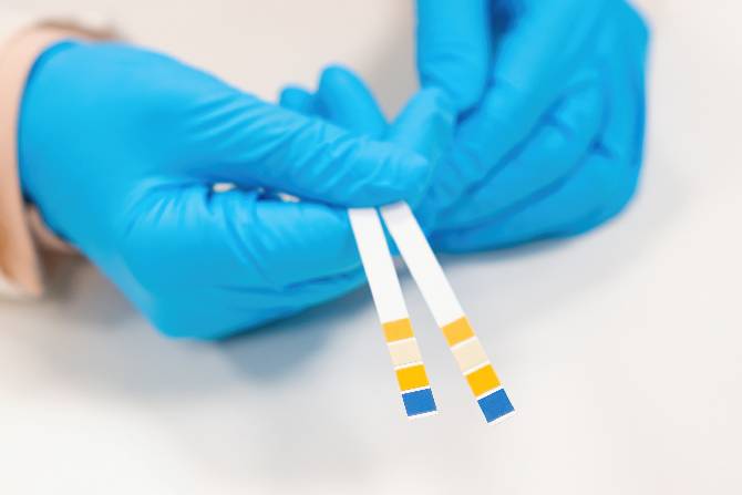 Imagen sobre pruebas toxicológicas. 