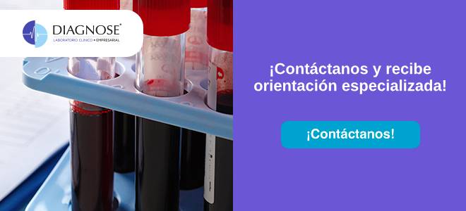 ¡Contáctanos y recibe orientación especializada!